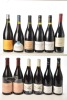 Chinon La crois Boisee Domaine Bernard Baudry 2 bts Chinon le Clos Guillot 2005 Domaine Bernard Baudry 1 bt Saumur Champigny Marginale 1995 Thierry germain 1 bt Saumur Champigny l'Expression 2007 Antione Sanzay 1 btLa Roche Blanche Cuvee Cot 2005 2 bts Sa
