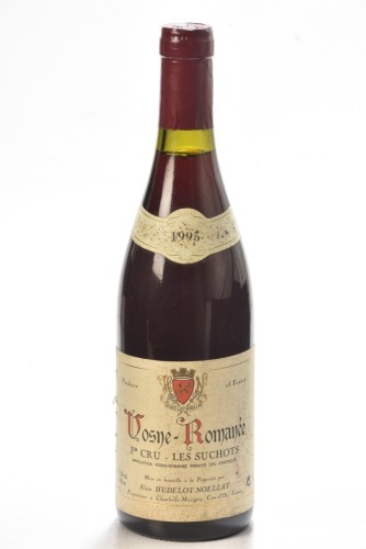 Vosne Romanee 1er Cru Les Suchots1995 Domaine Hudelot-Noellat 1 bt