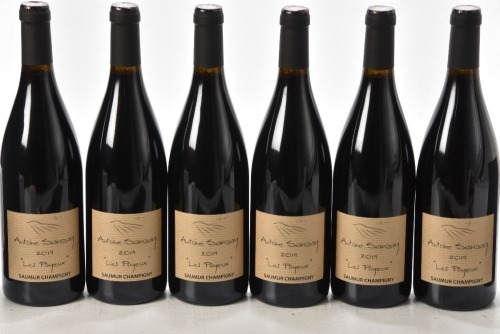 Saumur Champigny Les Poyeux 2019 Domaine Antoine Sanzay 2 x 6 bts OCC In Bond