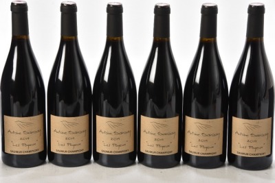 Saumur Champigny Les Poyeux 2019 Domaine Antoine Sanzay 2 x 6 bts OCC In Bond