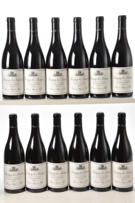 Savigny 1er Cru Les Beaune Aux Grands Liards 2019 Domaine Simon Bize 12 bts OCC In Bond