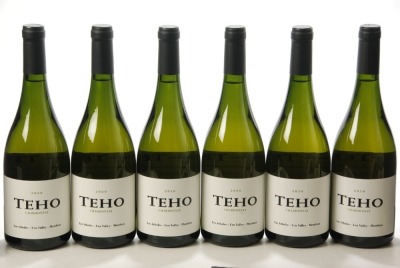 Teho Uco Valley Chardonnay 2020 6bts