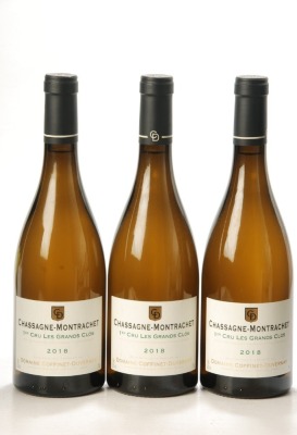 Chassagne Montrachet 1er Cru Les Grands Clos 2018 Domaine Coffinet-Duvernay 3 Bts