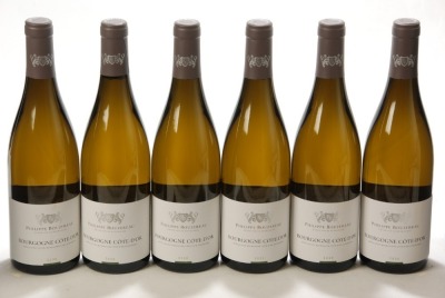 Bourgogne Cote d&rsquo;Or 2020 Phillipe Bouzereau 6 Bts OCC IN BOND