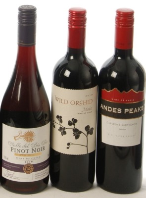 Pinot Gran Reserva Vina Indomita 2019 Bio Bio Valley 1 Bt Wild Orchid Merlot 2015 1 Bt Emiliana Andes Peaks Cabernet Sauvignon 2008 Central Valley 1 Bt Above 3 Bts