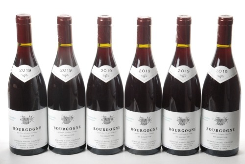 Bourgogne Rouge 2019 Domaine Michel Gaunoux 6 Bts OCC