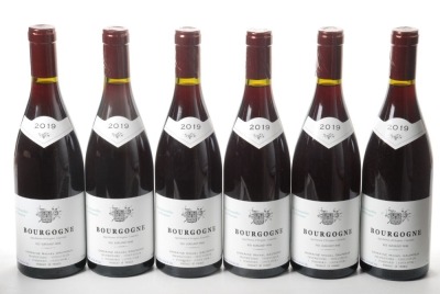 Bourgogne Rouge 2019 Domaine Michel Gaunoux 6 Bts OCC