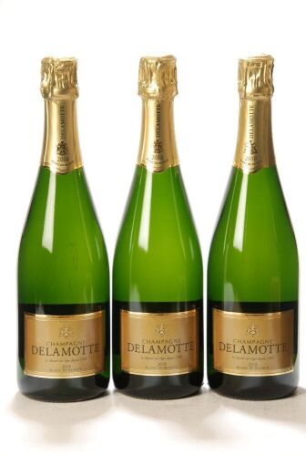 Champagne Delamotte 2018 3 Bts