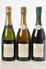 Champagne Egly-Ouriet Les Vignes de Vrigny 1 bt Champagne Egly-Ouriet Grand Cru 1 bt Champagne Egly-Ouriet Les Premices 1 bt Above 3 bts - 2