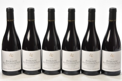 Bourgogne Hautes Cotes de Nuits Aux Chaumes 2019 Domaine Sylvain Cathiard 6 bts OCC In Bond